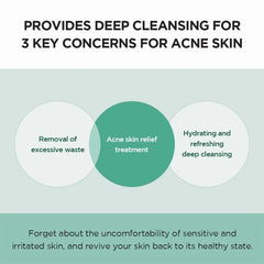 SKIN1004 Madagascar Centella Tea-Trica BHA Foam 4.22 fl.oz, 125ml