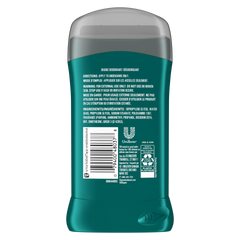 Degree Men Deodorant Stick – Wild Woods - 85g