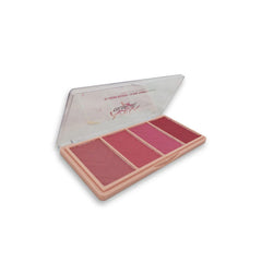 Aqua Color Line Bloom Blusher Glow & Contouring Kit