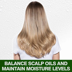 CHI Tea Tree Oil Shampoo – Sulfate & Paraben Free – For All Hair Types – 340ml