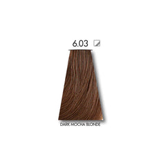 Keune Tinta DARK MOCHA BLONDE 6.03 with Keune Developer 20 Volume - 60 ml