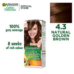 Garnier - Color Naturals Hair Colors - 4.3 Natural Golden Brown
