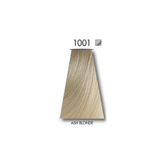 KEUNE TINTA Color Deal ASH BLONDE 1001 with Keune Developer 20 Volume - 60 ml
