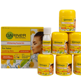 Garnier Facial Kit