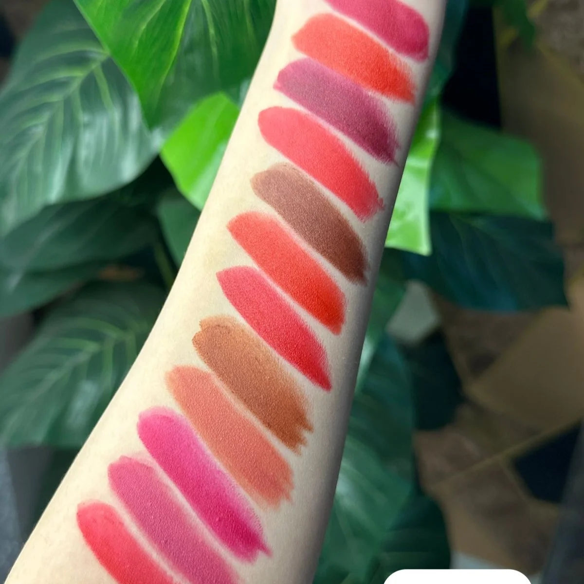 12 Pcs Shahnaz Hussain Matte Lipstick