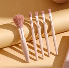 5 Pcs Mini Makeup Brush Set with Mirror & Protective Case