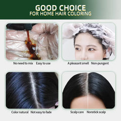AUGEAS 3-in-1 Herbal Hair Color Shampoo – 500ml