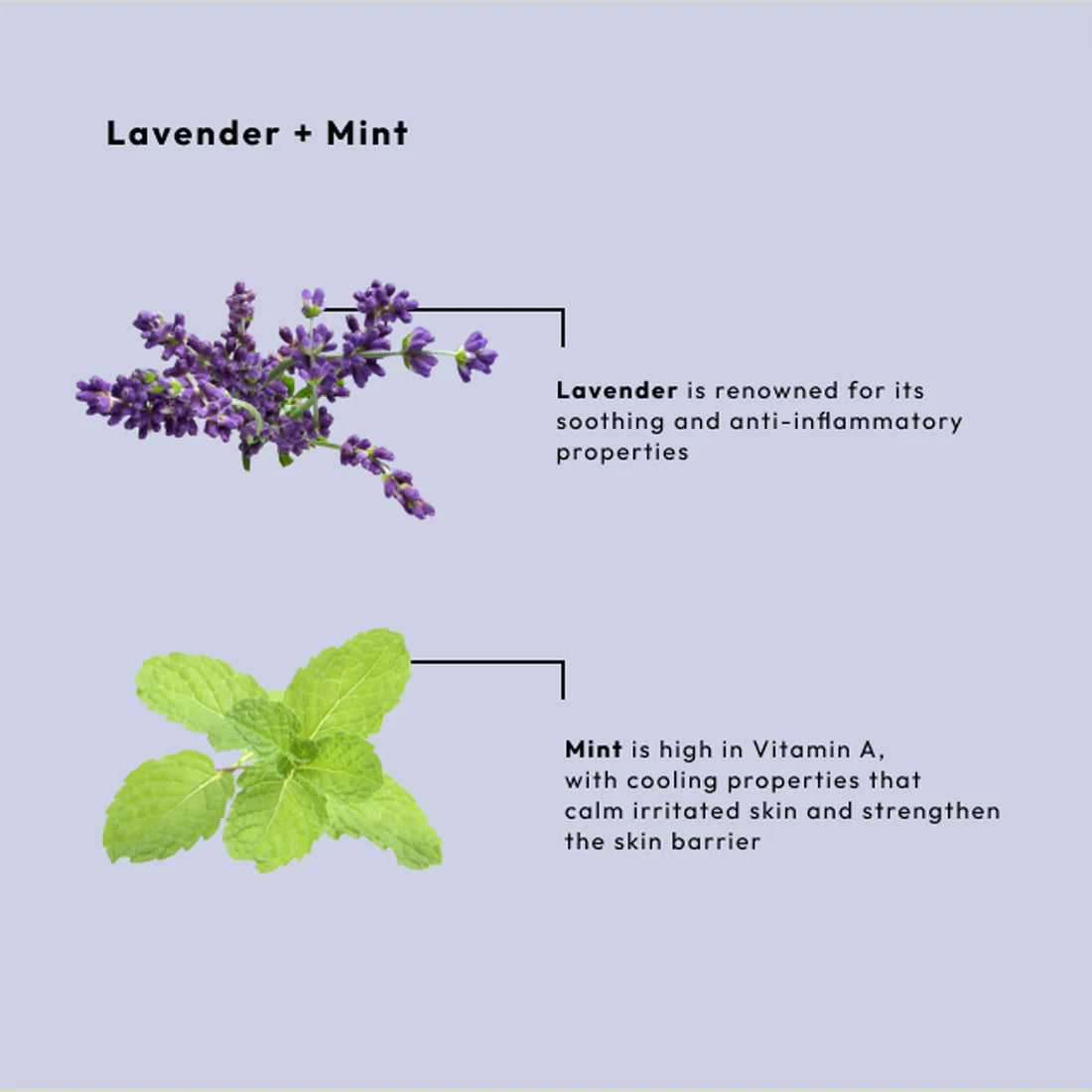 Be Care Love Lavender and Mint Calming Spa 4 Pcs Set