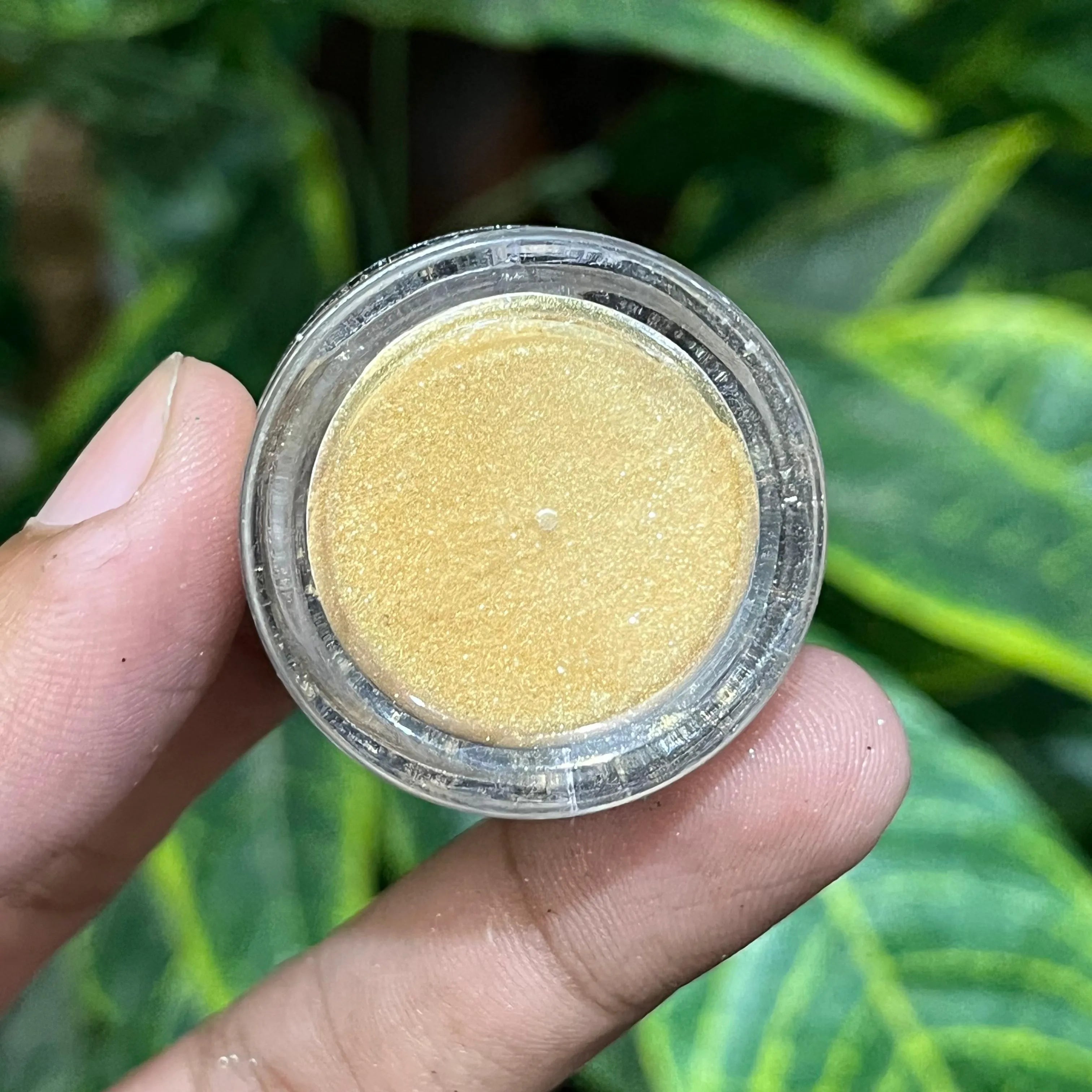 MAC Dust Eyeshadow
