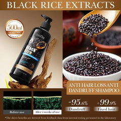 Sadoer Black Rice Anti Hair Loss Anti Dandruff Shampoo - 500ml