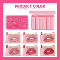 6 Pcs DroganRanee Honey Peach Matte Lipstick Set